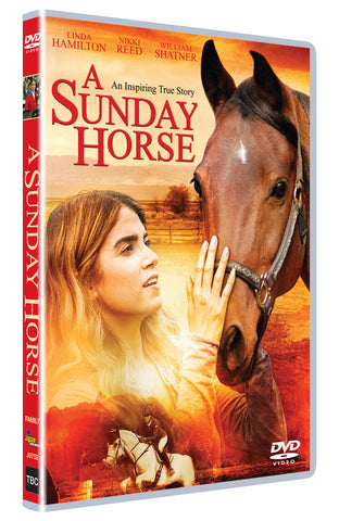 A Sunday Horse
